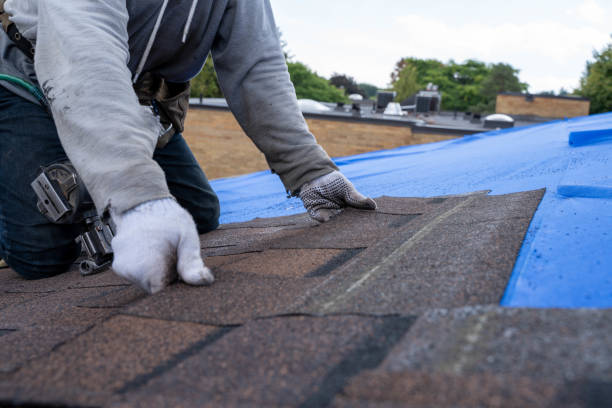 Best Metal Roofing Contractor  in Kosciusko, MS